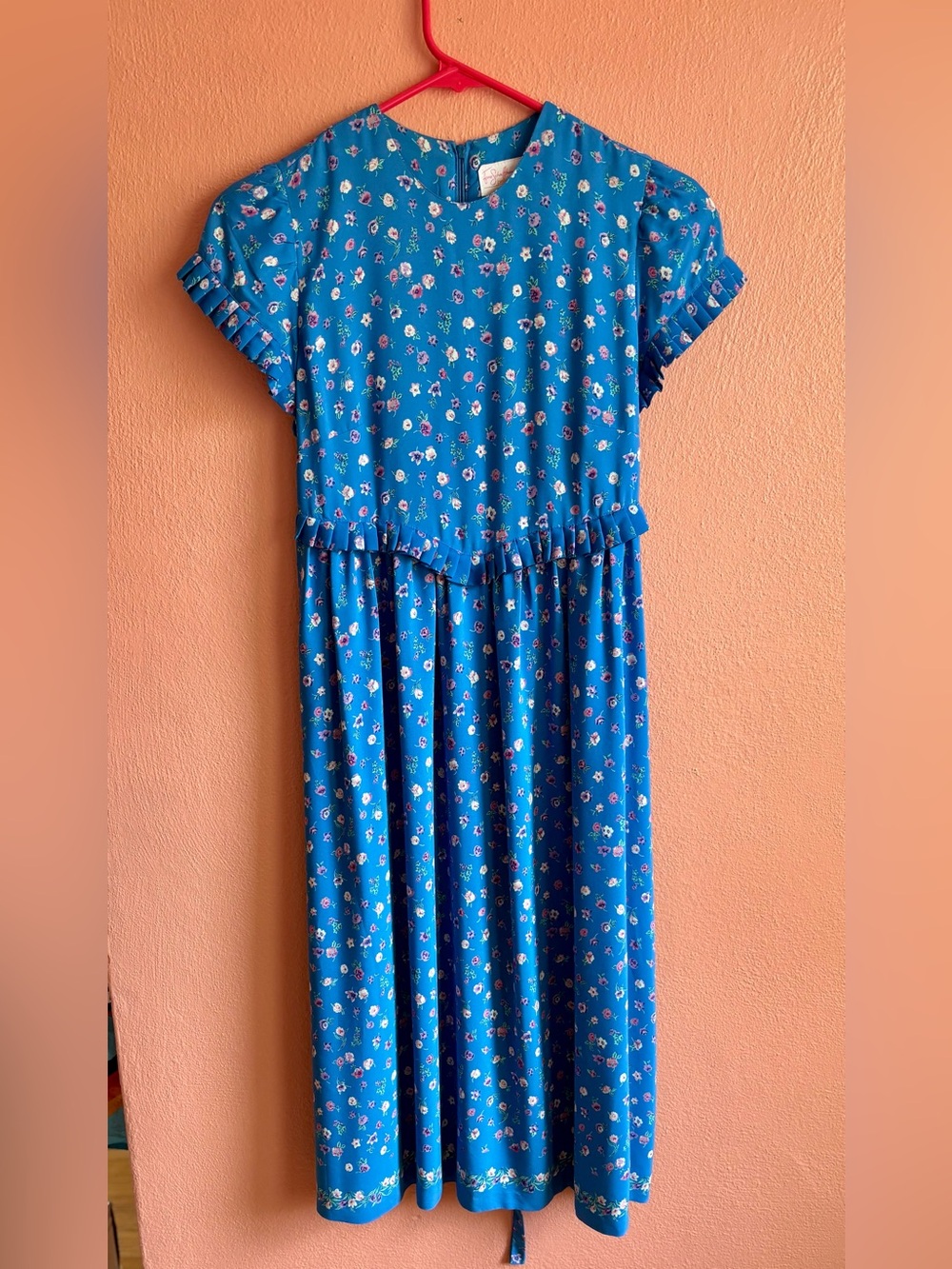 Vintage Jane Schaffhausen Belle France Dress